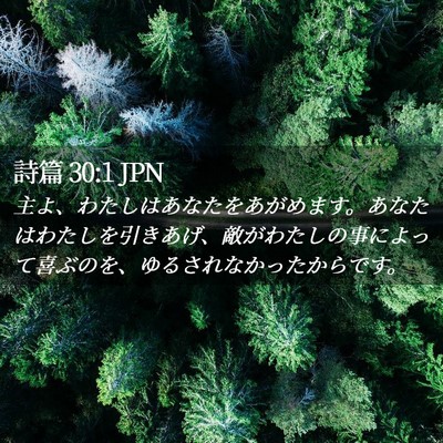 Picture 02 - 詩篇 30:1 JPN - 主よ、わたしはあなたをあがめます - Bible Verse Picture