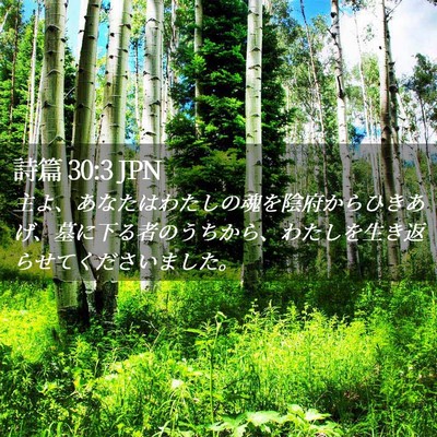 Picture 02 - 詩篇 30:3 JPN - 主よ、あなたはわたしの魂を陰府か - Bible Verse Picture