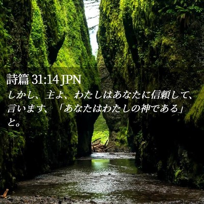 Picture 02 - 詩篇 31:14 JPN - しかし、主よ、わたしはあなたに信 - Bible Verse Picture