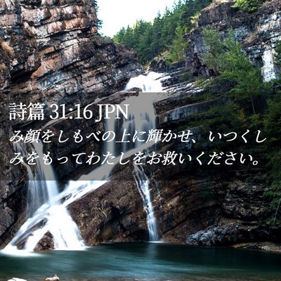 Picture 02 - 詩篇 31:16 JPN - み顔をしもべの上に輝かせ、いつく - Bible Verse Picture