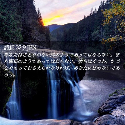 Picture 02 - 詩篇 32:9 JPN - あなたはさとりのない馬のようであ - Bible Verse Picture