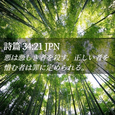 Picture 02 - 詩篇 34:21 JPN - 悪は悪しき者を殺す。正しい者を憎 - Bible Verse Picture