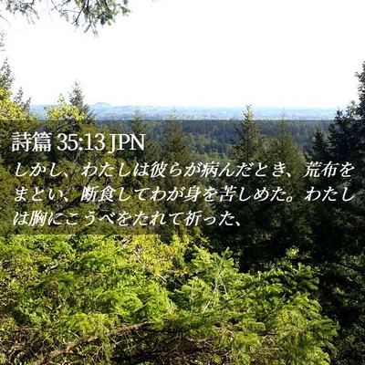 Picture 02 - 詩篇 35:13 JPN - しかし、わたしは彼らが病んだとき - Bible Verse Picture