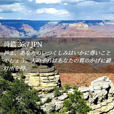 Picture 02 - 詩篇 36:7 JPN - 神よ、あなたのいつくしみはいかに - Bible Verse Picture