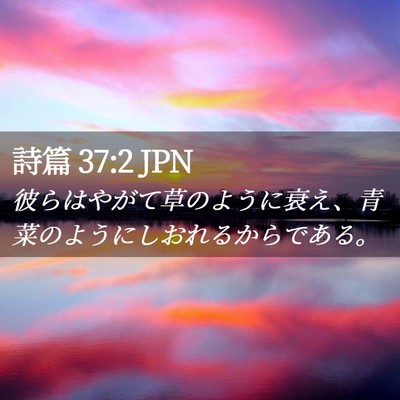 Picture 02 - 詩篇 37:2 JPN - 彼らはやがて草のように衰え、青菜 - Bible Verse Picture