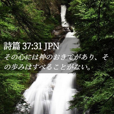 Picture 02 - 詩篇 37:31 JPN - その心には神のおきてがあり、その - Bible Verse Picture