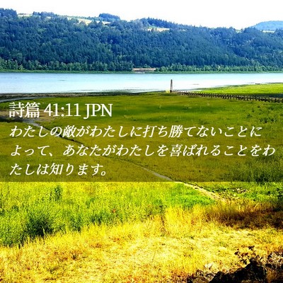 Picture 02 - 詩篇 41:11 JPN - わたしの敵がわたしに打ち勝てない - Bible Verse Picture