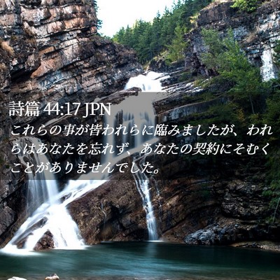 Picture 02 - 詩篇 44:17 JPN - これらの事が皆われらに臨みました - Bible Verse Picture