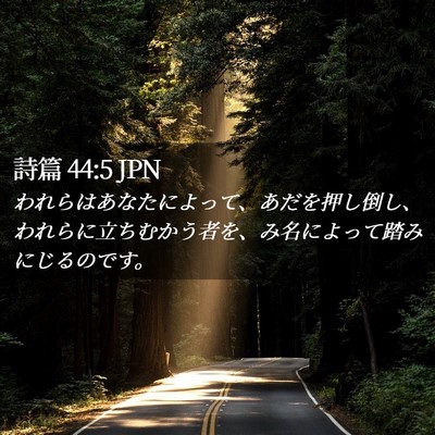 Picture 02 - 詩篇 44:5 JPN - われらはあなたによって、あだを押 - Bible Verse Picture