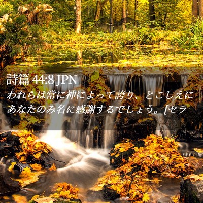 Picture 02 - 詩篇 44:8 JPN - われらは常に神によって誇り、とこ - Bible Verse Picture