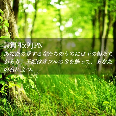 Picture 02 - 詩篇 45:9 JPN - あなたの愛する女たちのうちには王 - Bible Verse Picture