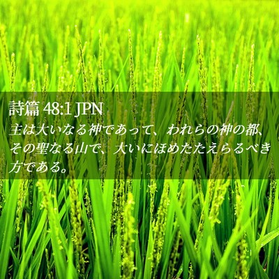 Picture 02 - 詩篇 48:1 JPN - 主は大いなる神であって、われらの - Bible Verse Picture