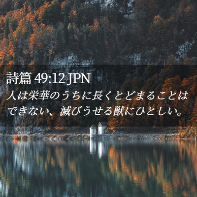 Picture 02 - 詩篇 49:12 JPN - 人は栄華のうちに長くとどまること - Bible Verse Picture