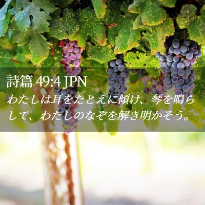 Picture 02 - 詩篇 49:4 JPN - わたしは耳をたとえに傾け、琴を鳴 - Bible Verse Picture