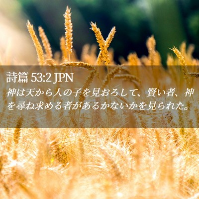 Picture 02 - 詩篇 53:2 JPN - 神は天から人の子を見おろして、賢 - Bible Verse Picture