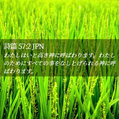 Picture 02 - 詩篇 57:2 JPN - わたしはいと高き神に呼ばわります - Bible Verse Picture