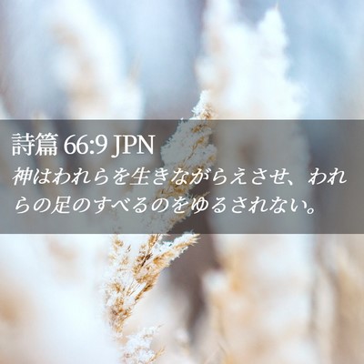 Picture 02 - 詩篇 66:9 JPN - 神はわれらを生きながらえさせ、わ - Bible Verse Picture
