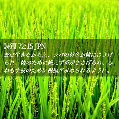 Picture 02 - 詩篇 72:15 JPN - 彼は生きながらえ、シバの黄金が彼 - Bible Verse Picture