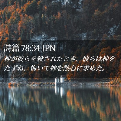 Picture 02 - 詩篇 78:34 JPN - 神が彼らを殺されたとき、彼らは神 - Bible Verse Picture