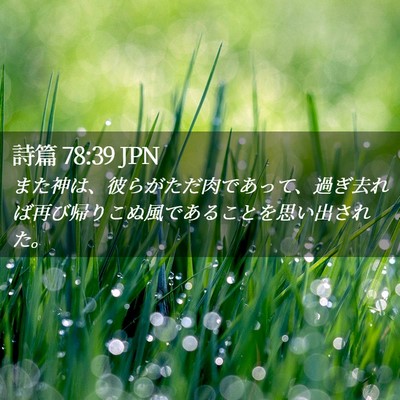 Picture 02 - 詩篇 78:39 JPN - また神は、彼らがただ肉であって、 - Bible Verse Picture