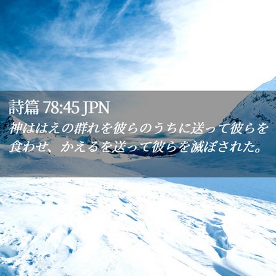 Picture 02 - 詩篇 78:45 JPN - 神ははえの群れを彼らのうちに送っ - Bible Verse Picture