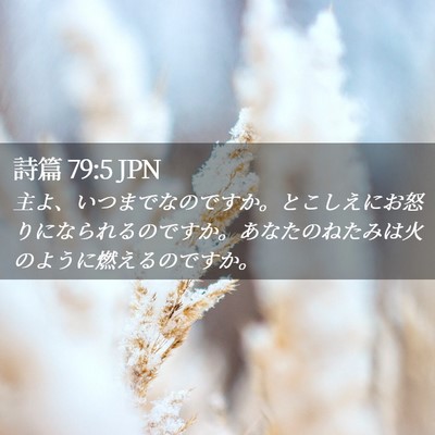 Picture 02 - 詩篇 79:5 JPN - 主よ、いつまでなのですか。とこし - Bible Verse Picture