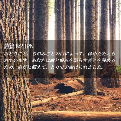 Picture 02 - 詩篇 8:2 JPN - みどりごと、ちのみごとの口によっ - Bible Verse Picture