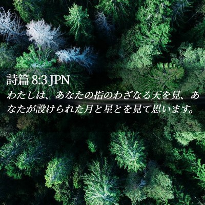 Picture 02 - 詩篇 8:3 JPN - わたしは、あなたの指のわざなる天 - Bible Verse Picture