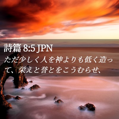 Picture 02 - 詩篇 8:5 JPN - ただ少しく人を神よりも低く造って - Bible Verse Picture