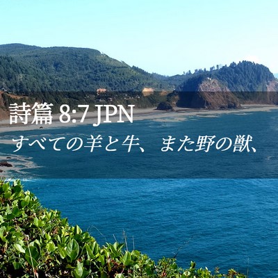Picture 02 - 詩篇 8:7 JPN - すべての羊と牛、また野の獣、 - Bible Verse Picture