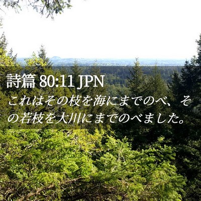Picture 02 - 詩篇 80:11 JPN - これはその枝を海にまでのべ、その - Bible Verse Picture
