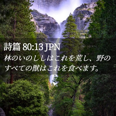 Picture 02 - 詩篇 80:13 JPN - 林のいのししはこれを荒し、野のす - Bible Verse Picture