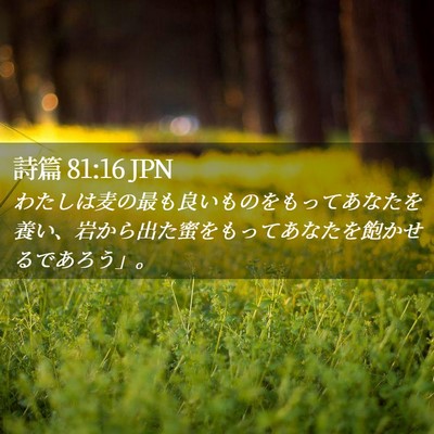 Picture 02 - 詩篇 81:16 JPN - わたしは麦の最も良いものをもって - Bible Verse Picture