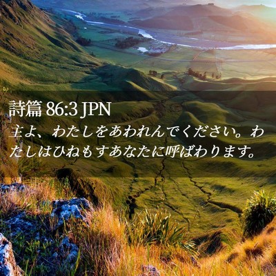 Picture 02 - 詩篇 86:3 JPN - 主よ、わたしをあわれんでください - Bible Verse Picture
