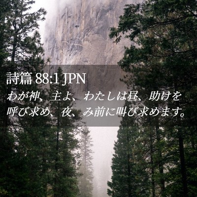 Picture 02 - 詩篇 88:1 JPN - わが神、主よ、わたしは昼、助けを - Bible Verse Picture