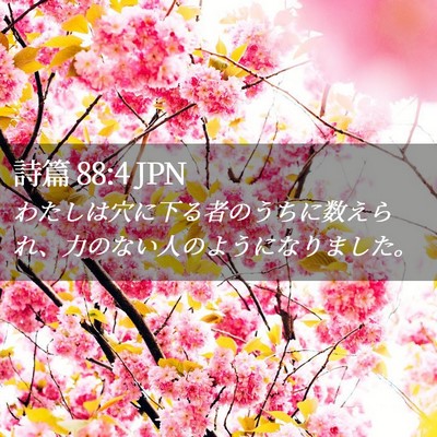 Picture 02 - 詩篇 88:4 JPN - わたしは穴に下る者のうちに数えら - Bible Verse Picture
