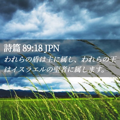 Picture 02 - 詩篇 89:18 JPN - われらの盾は主に属し、われらの王 - Bible Verse Picture