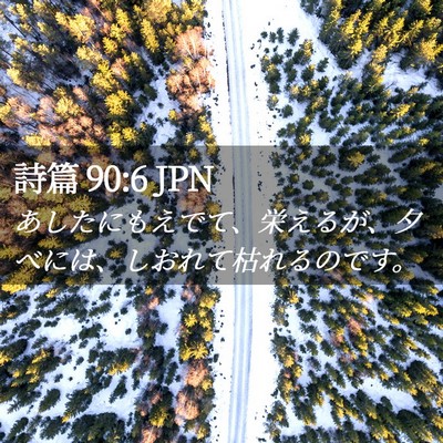 Picture 02 - 詩篇 90:6 JPN - あしたにもえでて、栄えるが、夕べ - Bible Verse Picture