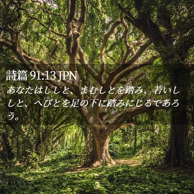 Picture 02 - 詩篇 91:13 JPN - あなたはししと、まむしとを踏み、 - Bible Verse Picture
