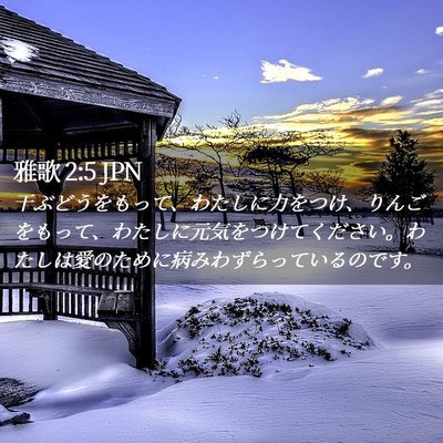 Picture 02 - 雅歌 2:5 JPN - 干ぶどうをもって、わたしに力をつ - Bible Verse Picture