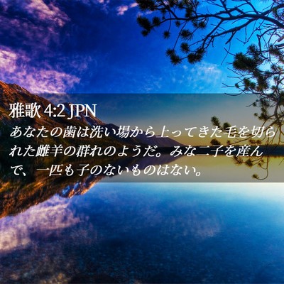 Picture 02 - 雅歌 4:2 JPN - あなたの歯は洗い場から上ってきた - Bible Verse Picture
