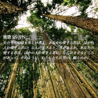 Picture 02 - 雅歌 5:9 JPN - 女のうちの最も美しい者よ、あなた - Bible Verse Picture