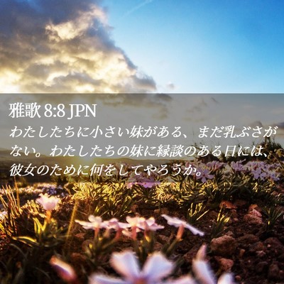 Picture 02 - 雅歌 8:8 JPN - わたしたちに小さい妹がある、まだ - Bible Verse Picture