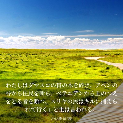 Picture 03 - アモス書 1:5 JPN - わたしはダマスコの貫の木を砕き、 - Bible Verse Picture