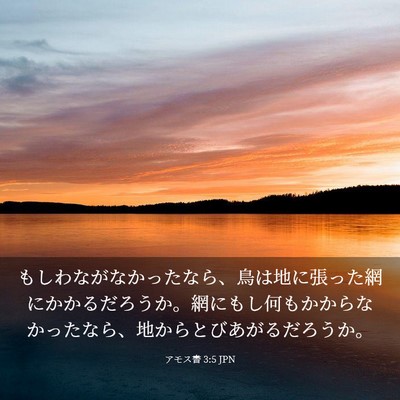 Picture 03 - アモス書 3:5 JPN - もしわながなかったなら、鳥は地に - Bible Verse Picture