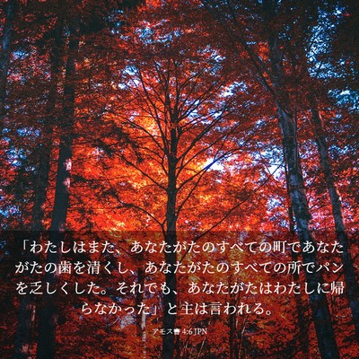 Picture 03 - アモス書 4:6 JPN - 「わたしはまた、あなたがたのすべ - Bible Verse Picture