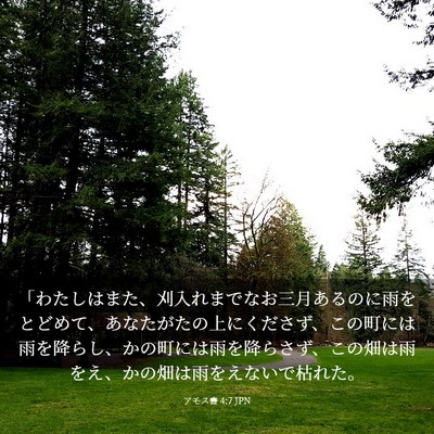 Picture 03 - アモス書 4:7 JPN - 「わたしはまた、刈入れまでなお三 - Bible Verse Picture