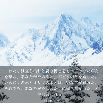 Picture 03 - アモス書 4:9 JPN - 「わたしは立ち枯れと腐り穂とをも - Bible Verse Picture