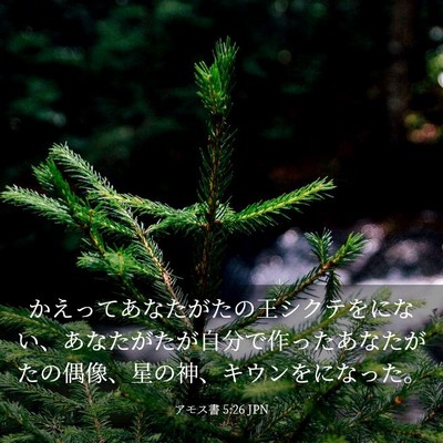Picture 03 - アモス書 5:26 JPN - かえってあなたがたの王シクテをに - Bible Verse Picture