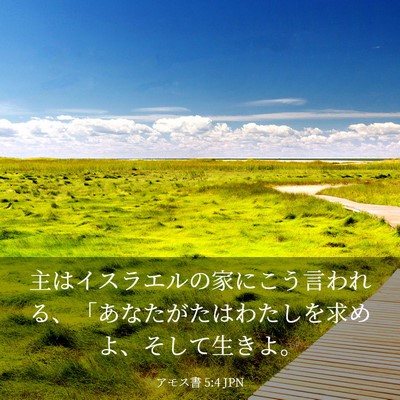 Picture 03 - アモス書 5:4 JPN - 主はイスラエルの家にこう言われる - Bible Verse Picture